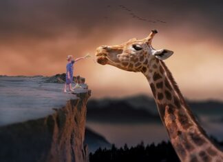 Czy można żyć z gry na giełdzie?