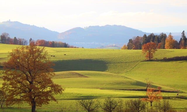 Ile to jest 10000 brutto na netto?