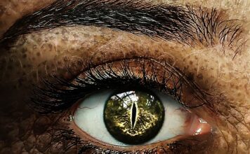 Jak zwolnić ucznia który nie przychodzi na praktyki?