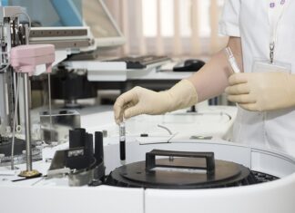 Czy Państwowa Inspekcja Pracy może ukarać pracownika?