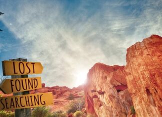 Kto pomoże w znalezieniu pracy?