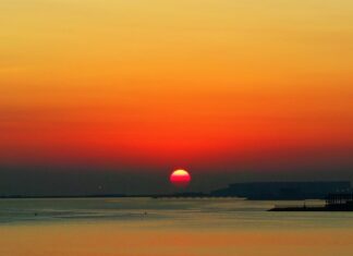 W co warto inwestować w 2023?