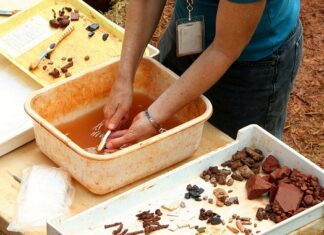 Ile czasu ma Inspekcja Pracy na rozpatrzenie skargi?