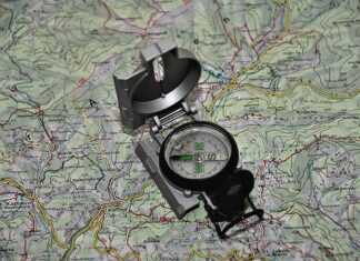 Jaka podstawę programową realizuje uczeń z niepełnosprawnością intelektualną w stopniu lekkim?