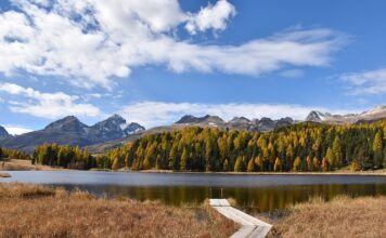 Ile wynosi staż 2023 na rękę?