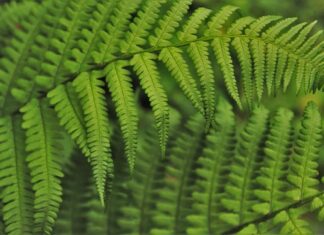 Jak wdrożyć pracownika?