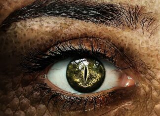 Czy miejsce ucznia niepełnosprawnego jest w szkole specjalnej?